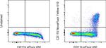 CD115 (c-fms) Antibody in Flow Cytometry (Flow)