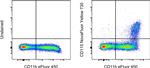 CD115 (c-fms) Antibody in Flow Cytometry (Flow)