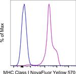 MHC Class I (H-2Kd/H-2Dd) Antibody in Flow Cytometry (Flow)