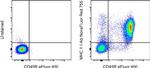 MHC Class II I-Ab Antibody in Flow Cytometry (Flow)