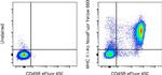 MHC Class II I-Ab Antibody in Flow Cytometry (Flow)