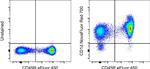 CD1d Antibody in Flow Cytometry (Flow)