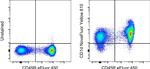 CD1d Antibody in Flow Cytometry (Flow)