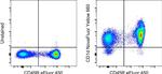 CD1d Antibody in Flow Cytometry (Flow)