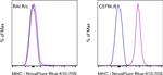 MHC Class I (H-2Kb) Antibody in Flow Cytometry (Flow)