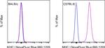 MHC Class I (H-2Kb) Antibody in Flow Cytometry (Flow)