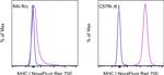 MHC Class I (H-2Kb) Antibody in Flow Cytometry (Flow)