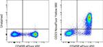 CD23 Antibody in Flow Cytometry (Flow)