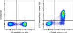 CD23 Antibody in Flow Cytometry (Flow)