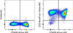 CD2 Antibody in Flow Cytometry (Flow)