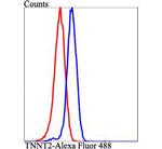 Cardiac Troponin T Antibody in Flow Cytometry (Flow)