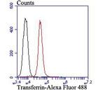 Transferrin Antibody in Flow Cytometry (Flow)