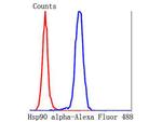 Hsp90 alpha Antibody in Flow Cytometry (Flow)