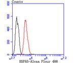 HSPA5 Antibody in Flow Cytometry (Flow)