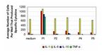 IL-1 beta Antibody in ELISA (ELISA)