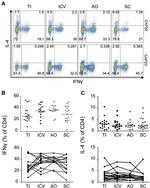 CD4 Antibody in Flow Cytometry (Flow)