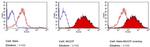 SSEA3 Antibody in Flow Cytometry (Flow)