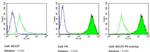 SSEA1 Antibody in Flow Cytometry (Flow)