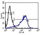 TRA-1-60 Antibody in Flow Cytometry (Flow)