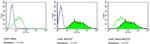 TRA-1-81 Antibody in Flow Cytometry (Flow)