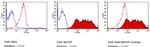 TRA-1-81 Antibody in Flow Cytometry (Flow)