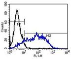 TRA-1-81 Antibody in Flow Cytometry (Flow)