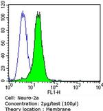 PSD-95 Antibody in Flow Cytometry (Flow)