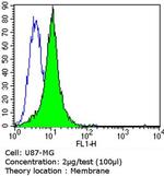 PSD-95 Antibody in Flow Cytometry (Flow)