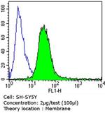 PSD-95 Antibody in Flow Cytometry (Flow)