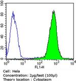 Dynein Antibody in Flow Cytometry (Flow)