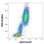 CD10 Antibody in Flow Cytometry (Flow)