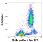 CD11c Antibody in Flow Cytometry (Flow)