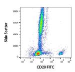 CD20 Antibody in Flow Cytometry (Flow)