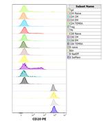 CD20 Antibody in Flow Cytometry (Flow)