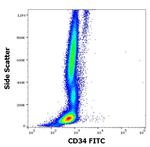 CD34 Antibody in Flow Cytometry (Flow)