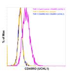 CD45RO Antibody