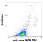 CD62L Antibody in Flow Cytometry (Flow)