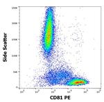 CD81 Antibody in Flow Cytometry (Flow)