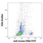 CD8 alpha Antibody in Flow Cytometry (Flow)