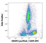 GRAP2 Antibody in Flow Cytometry (Flow)