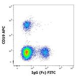 Human IgG Fc Secondary Antibody in Flow Cytometry (Flow)