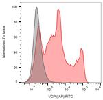 VCP Antibody in Flow Cytometry (Flow)