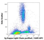 Human Kappa Light Chain Secondary Antibody in Flow Cytometry (Flow)