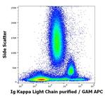 Human Kappa Light Chain Secondary Antibody in Flow Cytometry (Flow)