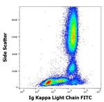 Human Kappa Light Chain Secondary Antibody in Flow Cytometry (Flow)