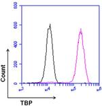 Mouse IgG1 Isotype Control in Flow Cytometry (Flow)