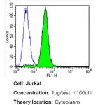 HMOX1 Antibody in Flow Cytometry (Flow)