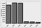 SSEA5 Antibody in Immunocytochemistry (ICC/IF)