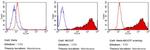 SSEA5 Antibody in Flow Cytometry (Flow)