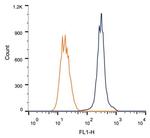 RAD51C Antibody in Flow Cytometry (Flow)